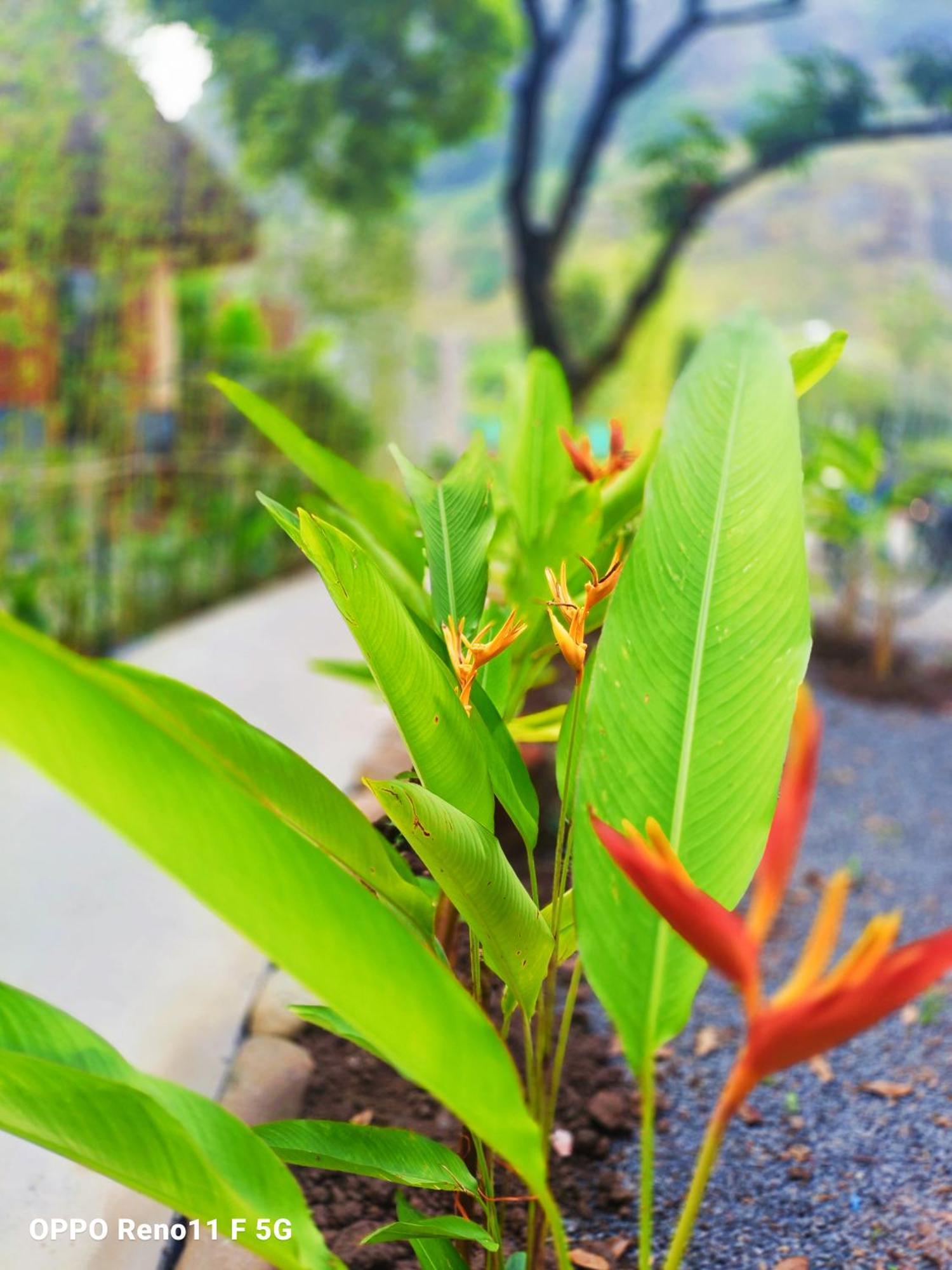 Hang Mua Eco Garden Xuan Son Екстер'єр фото
